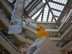 -光启城时尚购物中心