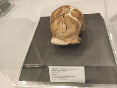 -北京周口店北京人遗址博物馆