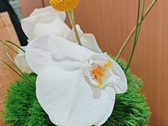 -蓉小乔·RONG COFFEE(春熙路店)