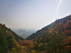 -府君山公园