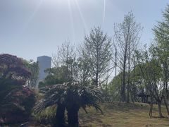 -后襄河公园