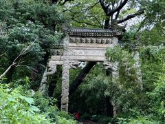 -平湖九龙山旅游度假区