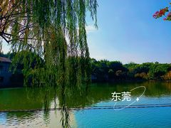 -东莞市可园博物馆