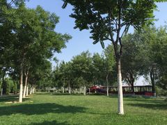 -永定河休闲森林公园