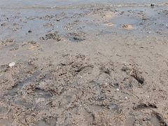 -天津东疆湾沙滩景区