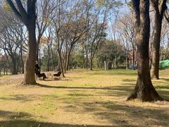 -高子水居