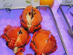 -长沙三景韦尔斯利酒店·Oval全日制餐厅自助餐