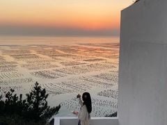 -枸杞岛