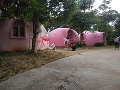 -漳州滨海火山岛自然生态风景区