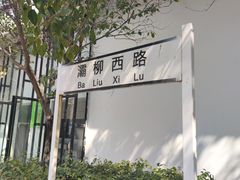 -灞河西岸滨河公园