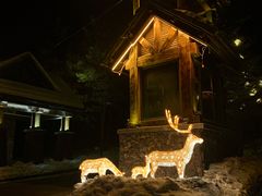 -长白山万达喜来登度假酒店