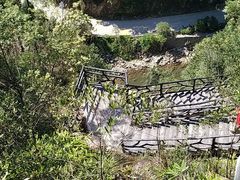 -九龙江国家森林公园