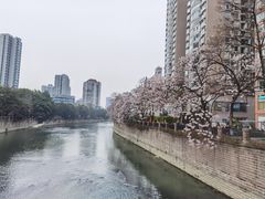 -成都市活水公园
