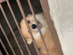 -咪咪专业脱毛连锁机构