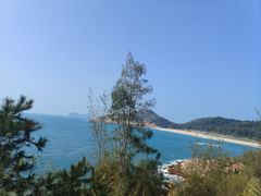 -广东惠东海龟国家级自然保护区