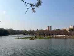-翠湖公园