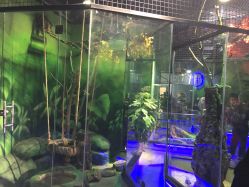 -未来动物城主题公园(正弘城店)