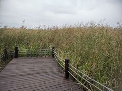 -苏州太湖湖滨国家湿地公园