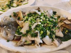 香葱灼鲈鱼-廣味潮鲜·一品潮滋味(五道口店)