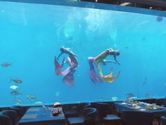 -瑞德姆美人鱼海底演艺主题餐厅(亚龙湾店)