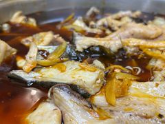 -黑龙滩生态鱼火锅(百寿路店)