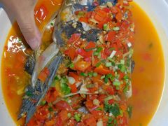-全乐鱼馆·淳牌有机鱼直营店