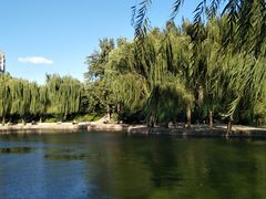 -团结湖公园