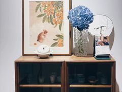 -虫二茶事(彭家巷店)