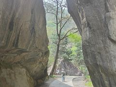 -秦岭终南山世界地质公园翠华山景区