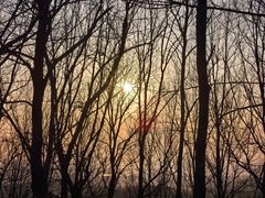 -南京市无想山景区