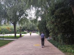 -唐城墙遗址公园