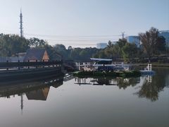 -九科绿洲