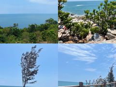 -广东惠东海龟国家级自然保护区