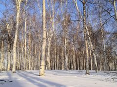 -长春市南湖公园