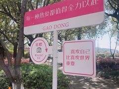 -高东镇樱花园