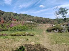 -贵州百里杜鹃风景名胜区
