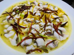 -青花椒花椒鱼(合生汇店)