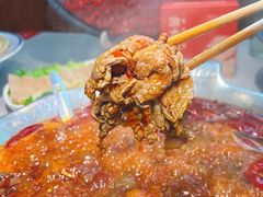 -渝大龙重庆火锅(温泉月亮湾店)