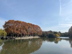-红梅公园