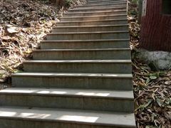 -广州市白云山风景名胜区