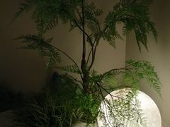 -鸥迪足道(湖南示范店)