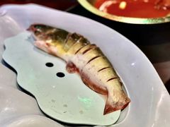-老刘生态大鱼坊铁锅炖鱼(赛马场店)