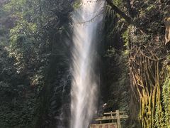 -莫里热带雨林景区