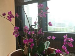 -瓦库茶馆17号(海汇港店)