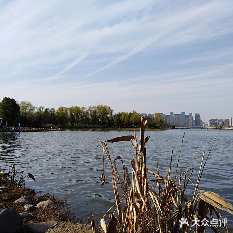 翡翠湖公园开放第一天， 阳光正好， 风轻云淡