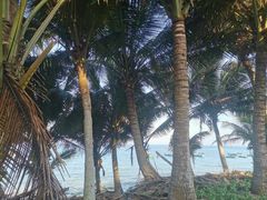 -福顺顺发海鲜餐厅