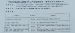 -大连新百佳妇儿医院