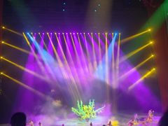 -水秀国际大剧院