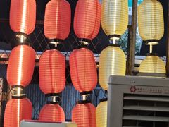 -山城柴火鸡·全鸡宴·跳水蛙(五小区店)