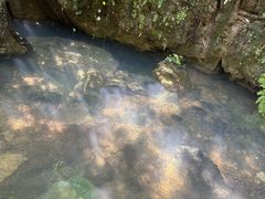 -华蓥山天意谷景区